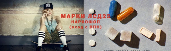 крисы Аркадак